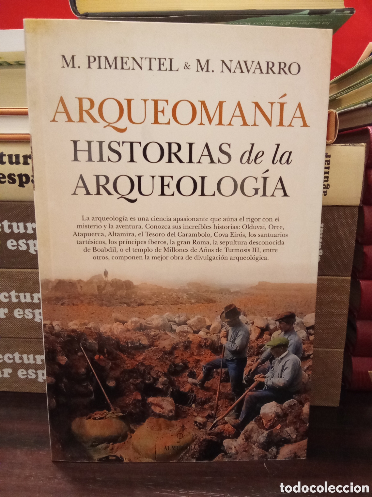 Libros: ARQUEOMAN&Iacute;A. HISTORIAS DE LA ARQUEOLOG&Iacute;A - M. PIMENTEL // M. NAVARRO