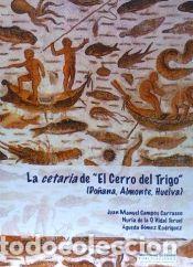Libros: La Cetaria de El Cerro Del Trigo - Campos Carrasco, Juan M. ; Vidal Teruel, Nuria de la O