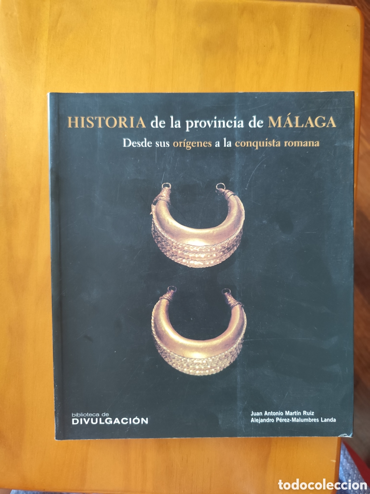 Libros: Historia de la provincia de M&aacute;laga: Desde sus or&iacute;genes a la conquista romana&rdquo;,