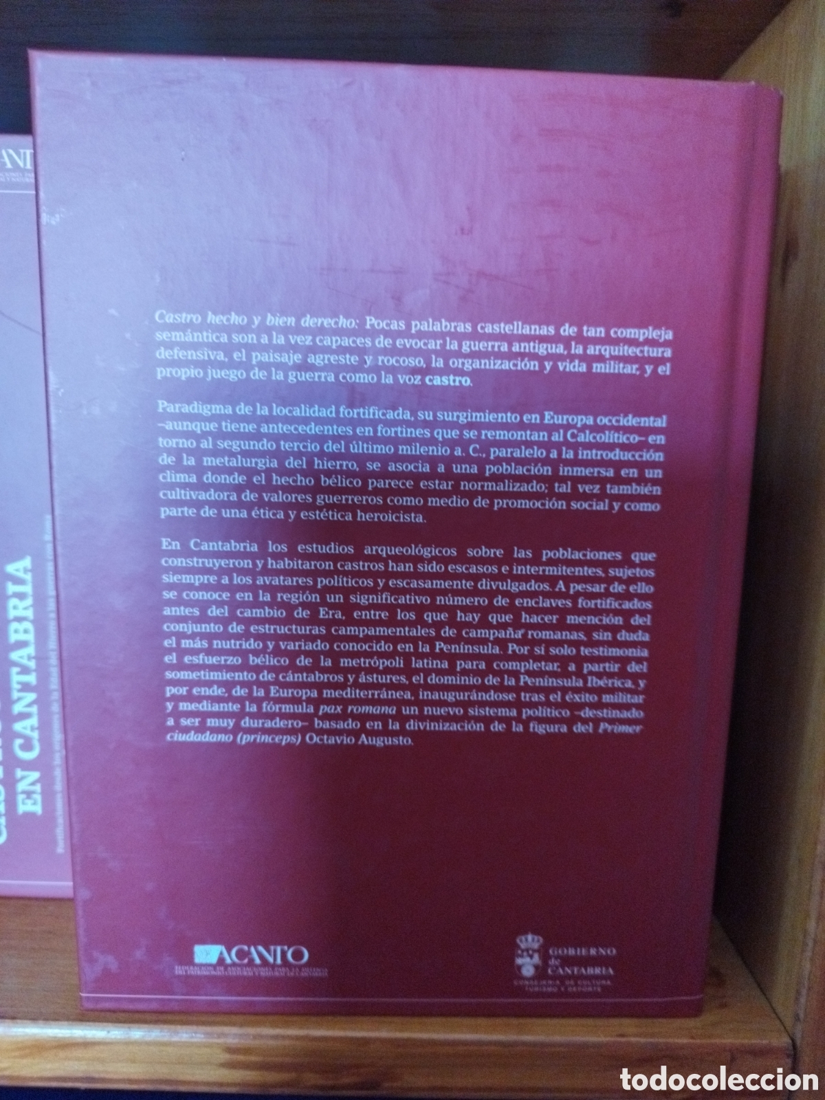 Libros: Libro Castros y Castras en Cantabria - Foto 3