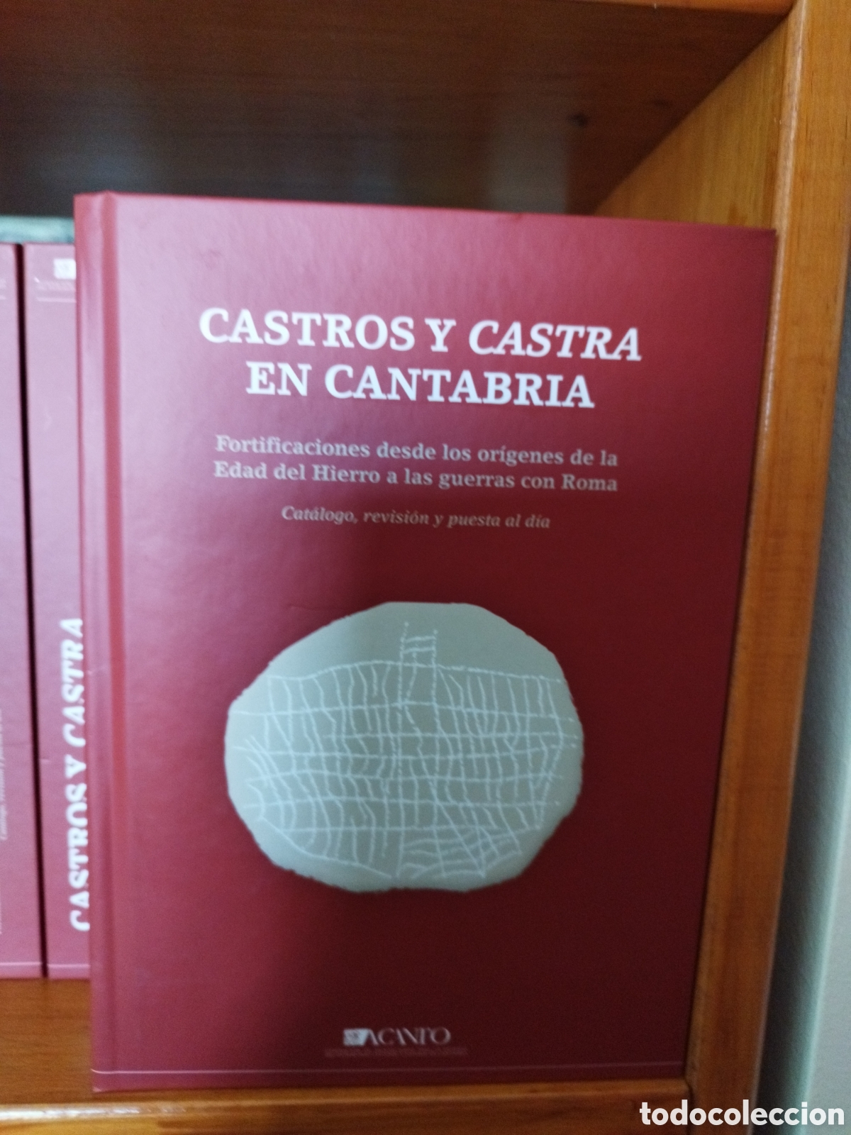 Libros: Libro Castros y Castras en Cantabria
