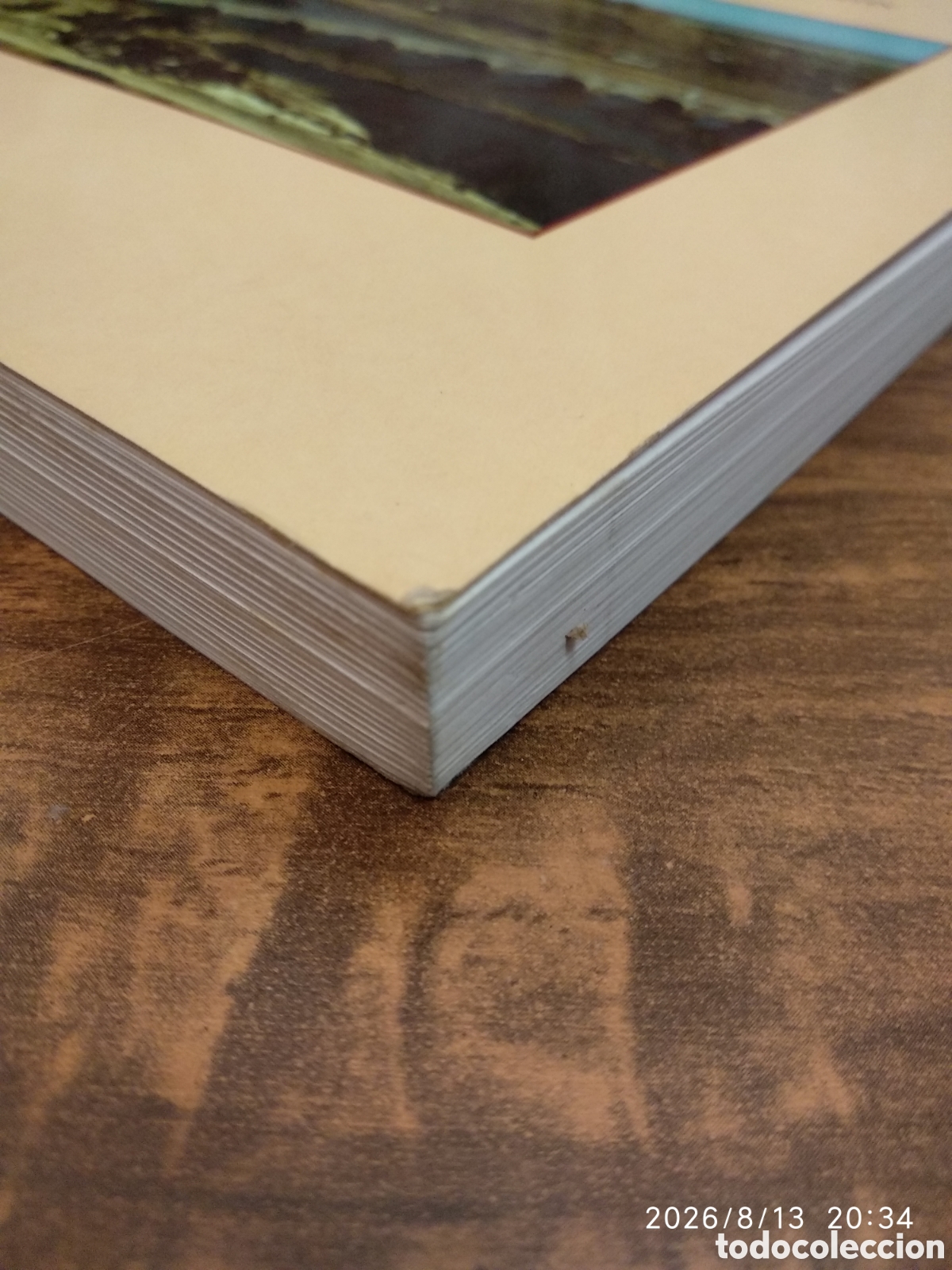 Libros: Castros y Oppida en Extremadura - Foto 7