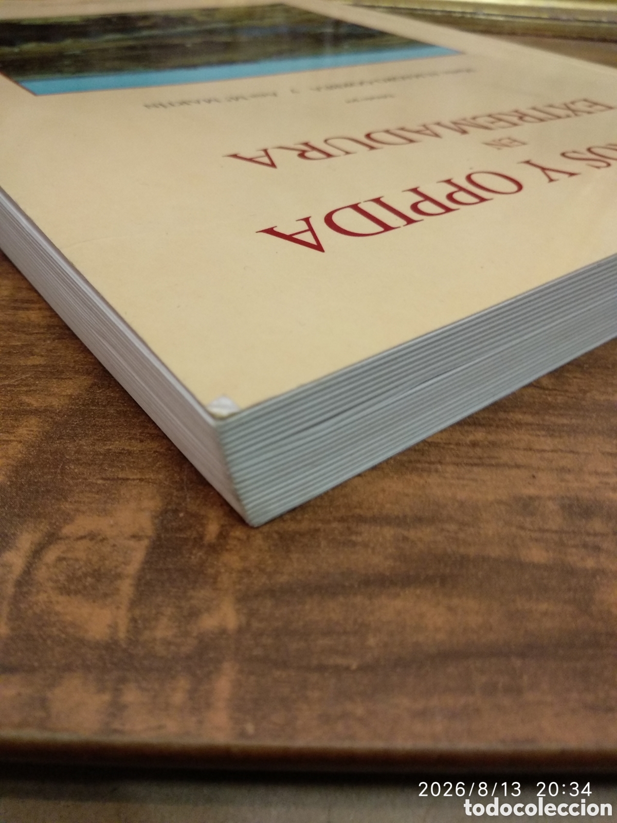 Libros: Castros y Oppida en Extremadura - Foto 8