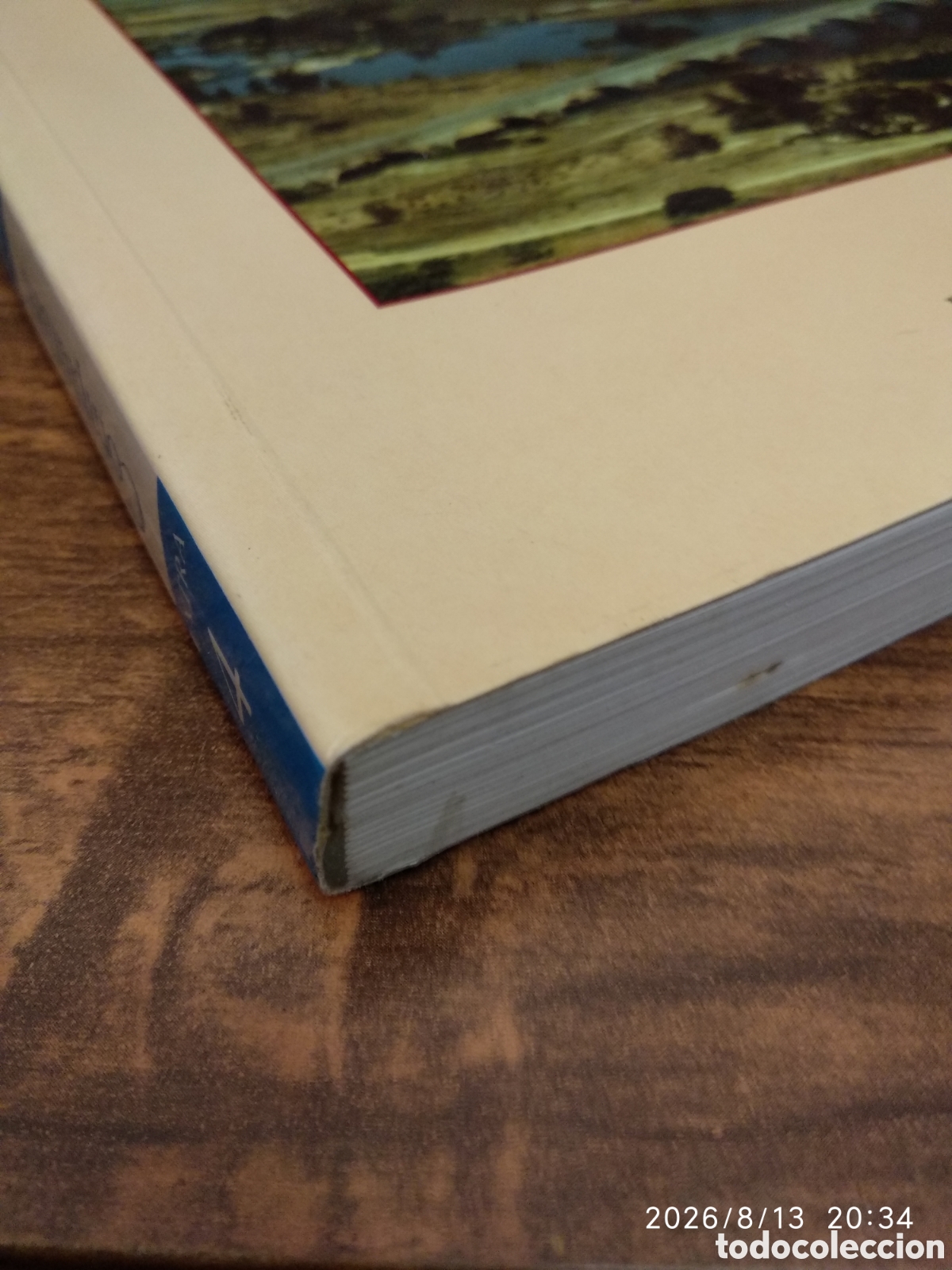 Libros: Castros y Oppida en Extremadura - Foto 10