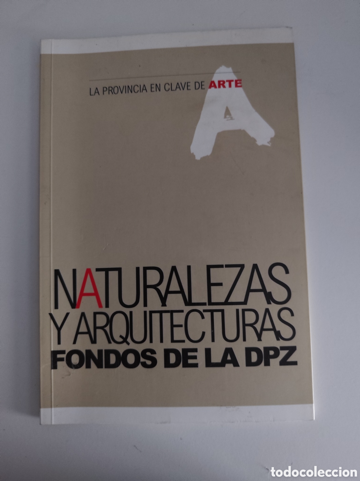 B&uuml;cher: Naturalezas y arquitecturas Fondos de la DPZ