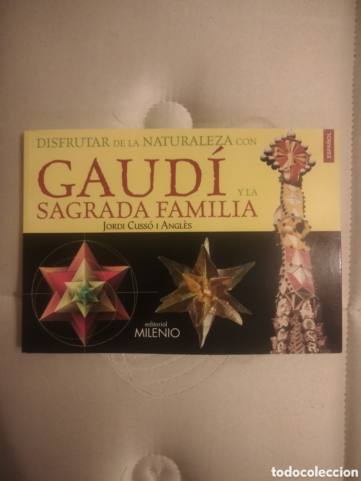 Libros: Gaud&iacute; la sagrada familia