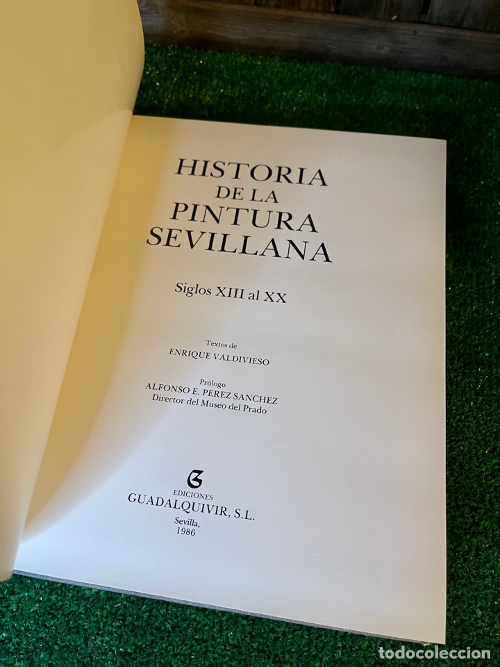 Libros: HISTORIA DE LA PINTURA SEVILLANA.ENRIQUE VALDIVIESO.EDICIONES GUADALQUIVIR,S.L. SEVILLA 1986 - Foto 3 - 302980928