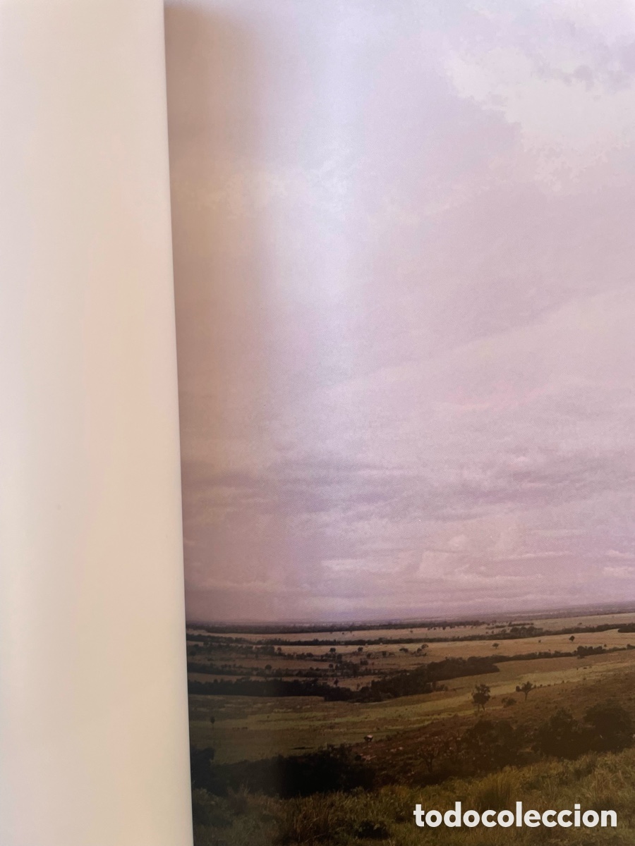 Libros: Reisewitz, Caio Catalogo 2007 - Foto 3
