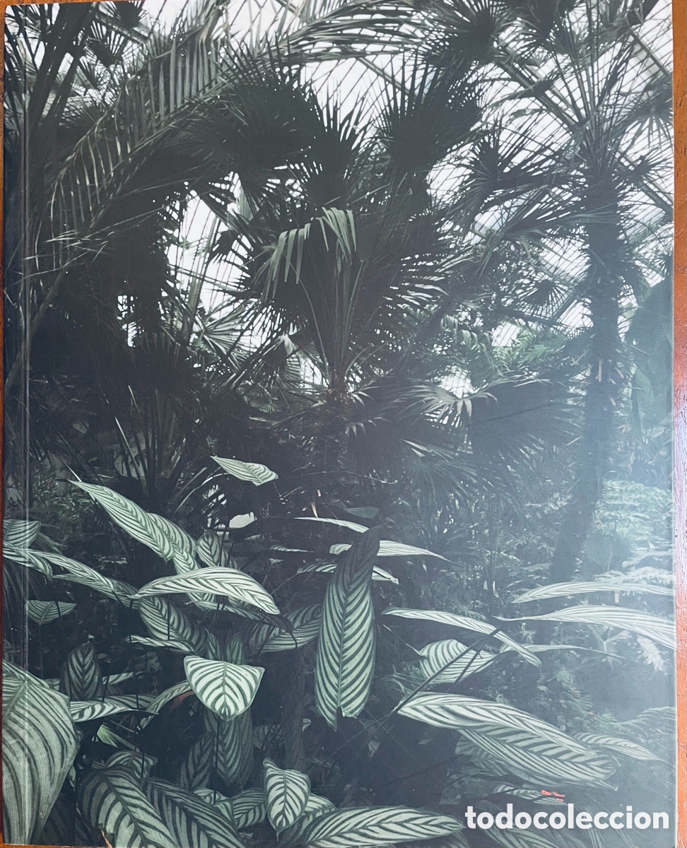 Libros: Reisewitz, Caio Catalogo 2007 - Foto 1
