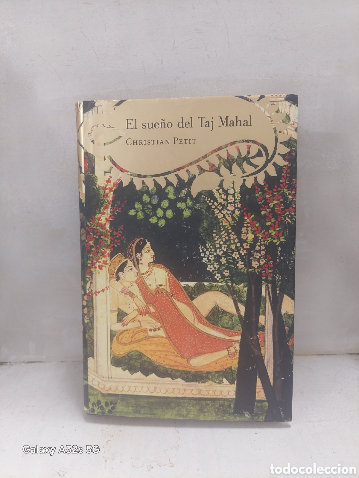 Libros: El sue&ntilde;o del taj mahal - Foto 1