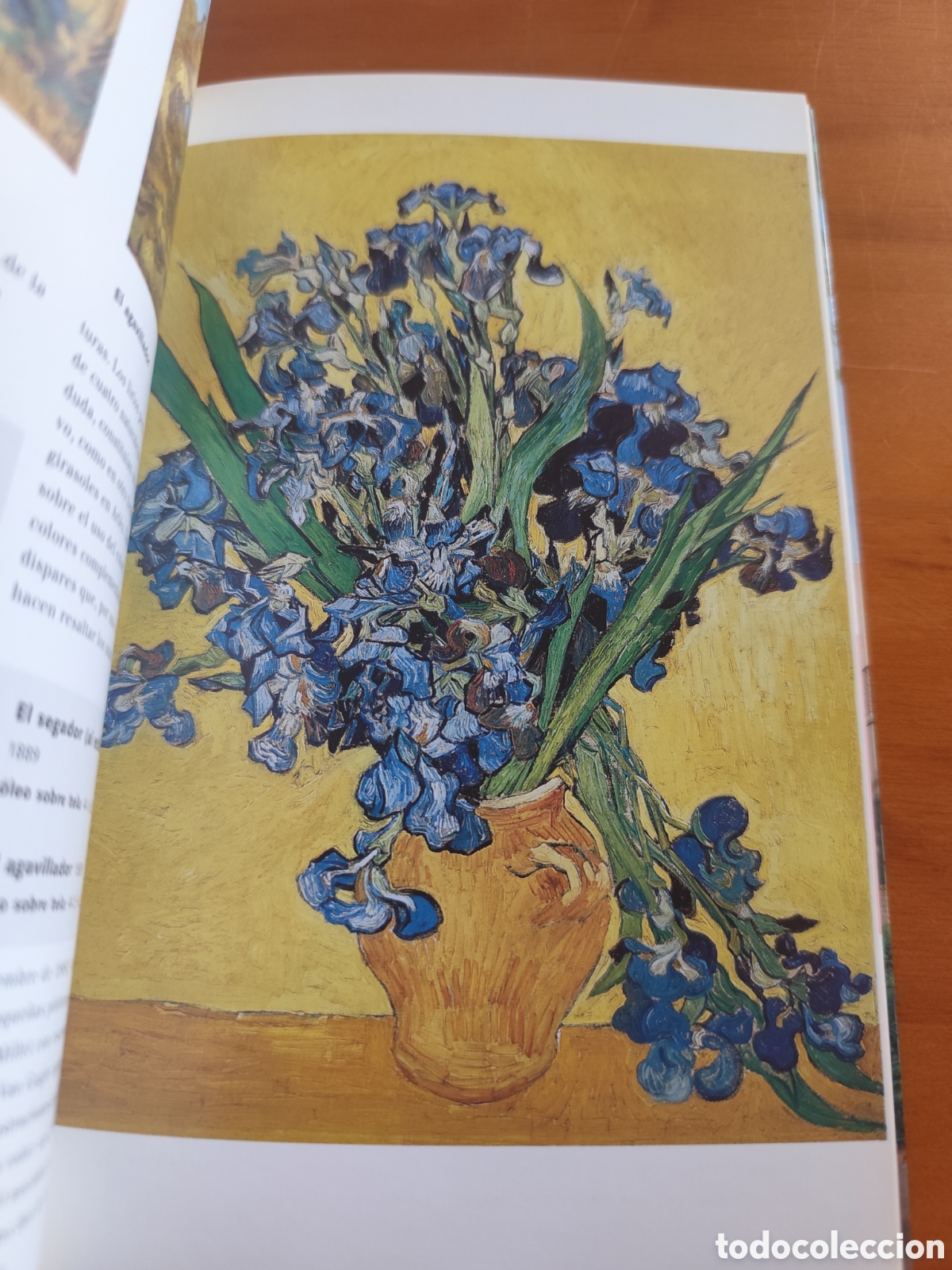 Libros: Van Gogh Guia del museo - Foto 2