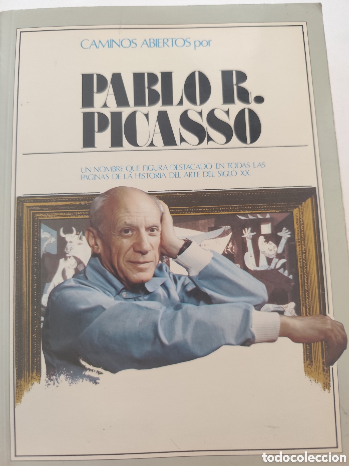 Libros: Caminos abiertos por Pablo R.Picasso
