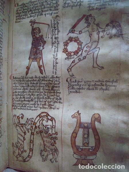 Libros: Textos astron&oacute;micos, s. XI-XII. Facs&iacute;mil. Millennium - Foto 4