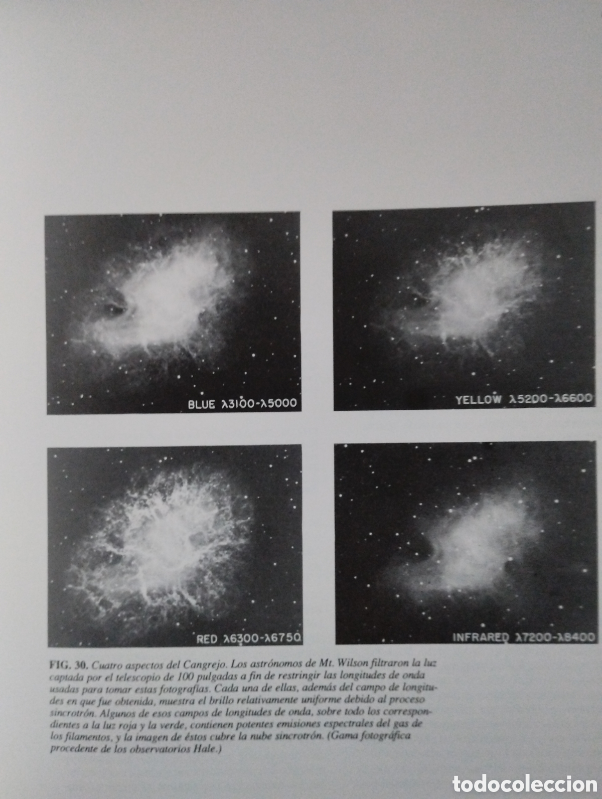 Libros: LIBRO SUPERNOVAS (1&deg; edici&oacute;n a&ntilde;o 1989) - Foto 4