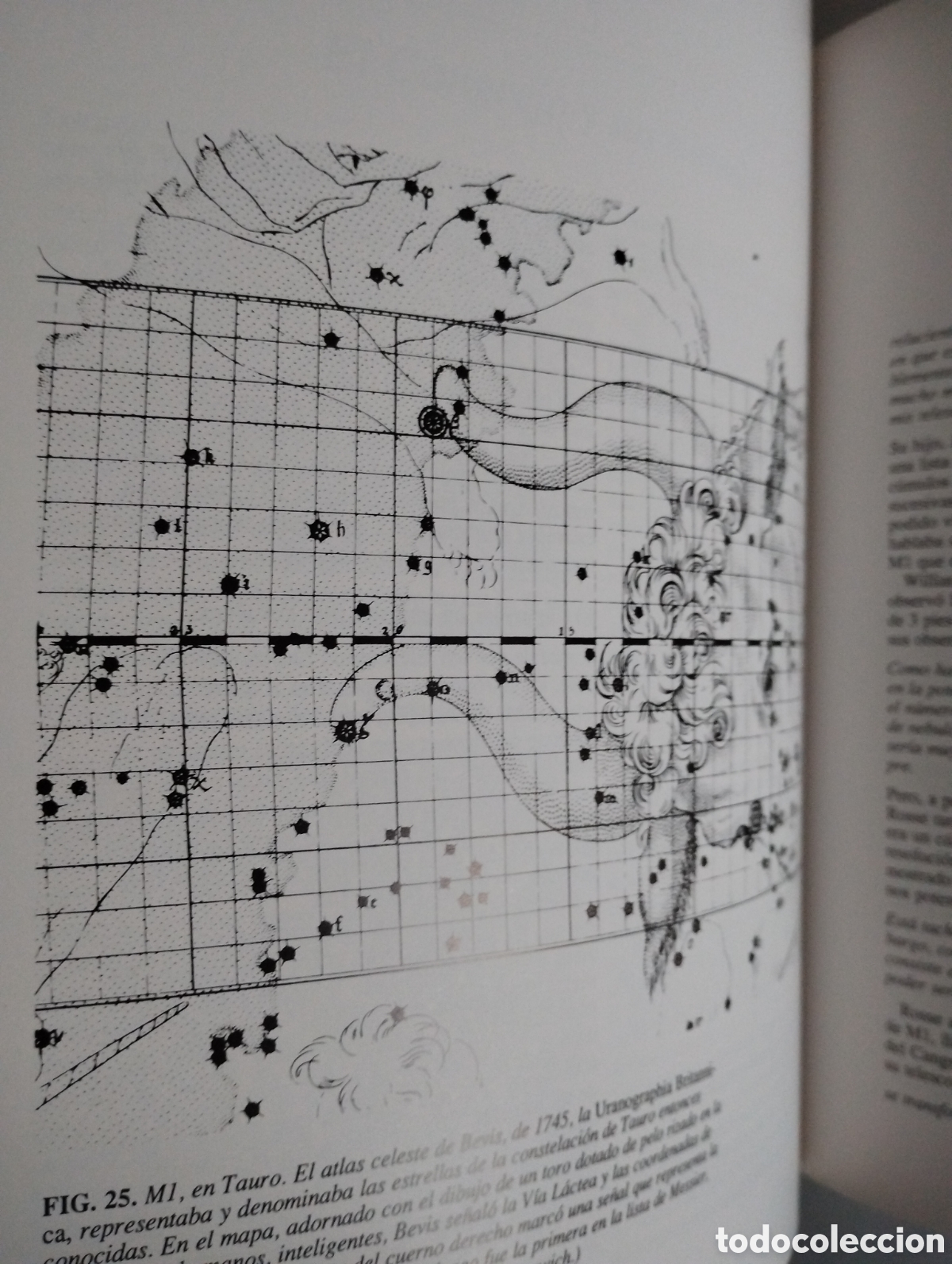 Libros: LIBRO SUPERNOVAS (1&deg; edici&oacute;n a&ntilde;o 1989) - Foto 5