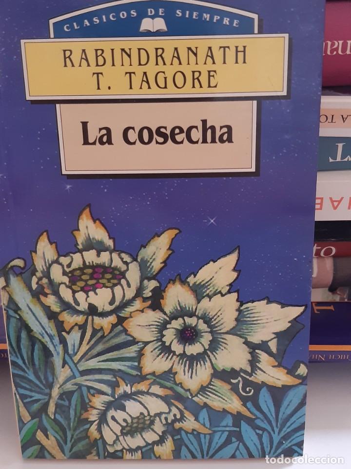 Libros: LA COSECHA RABINDRANATH TAGORE - Foto 1
