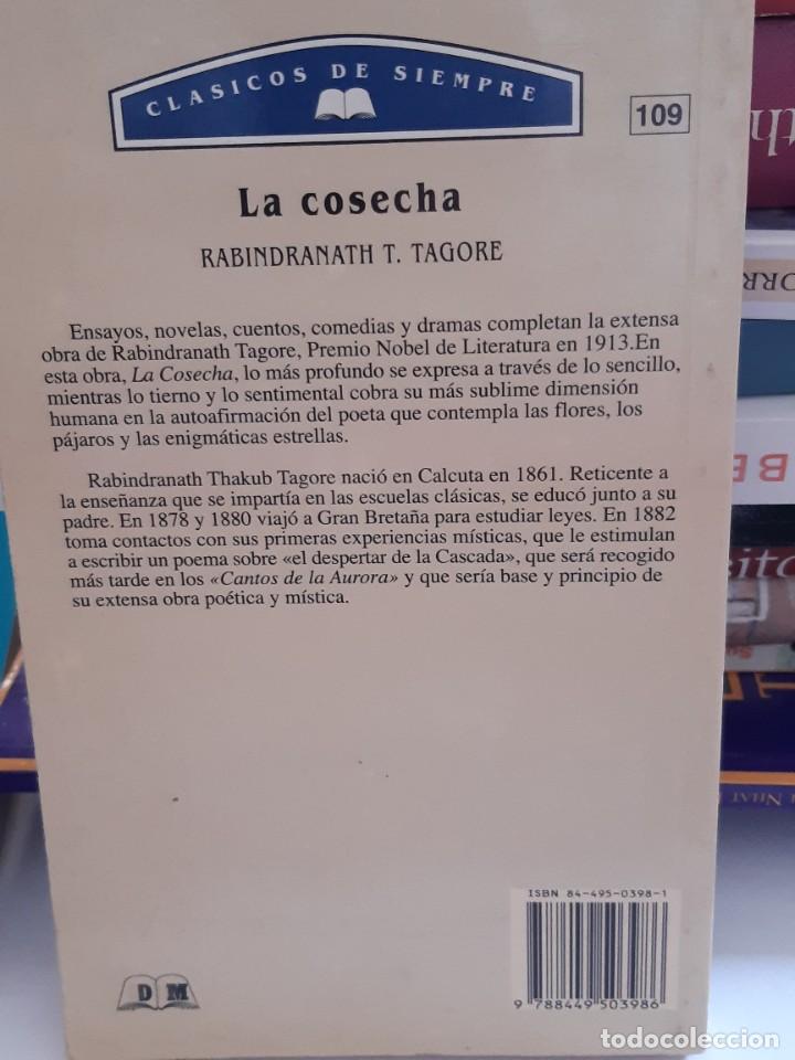 Libros: LA COSECHA RABINDRANATH TAGORE - Foto 2