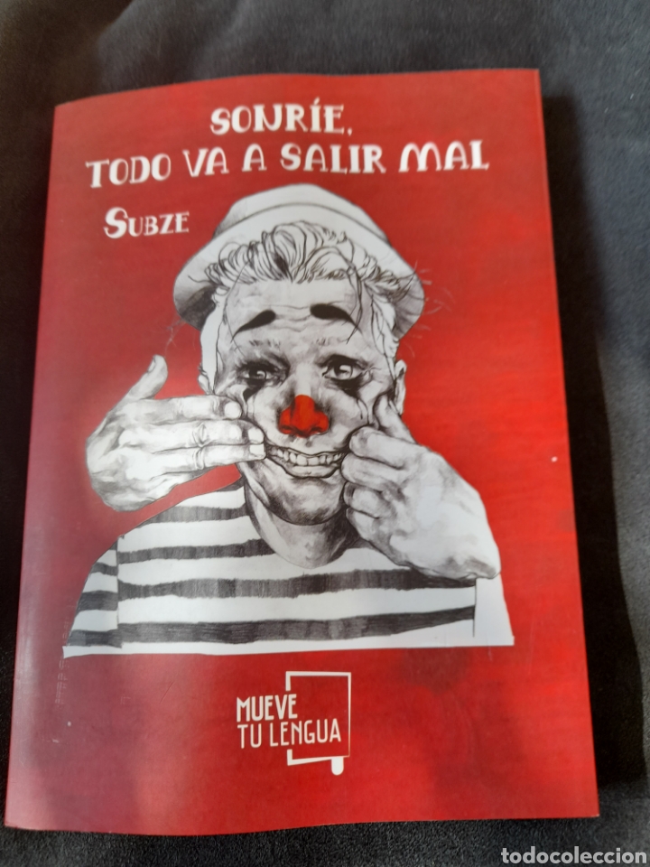 Libros: Sonr&iacute;e, todo va a salir mal. Subze - Foto 1
