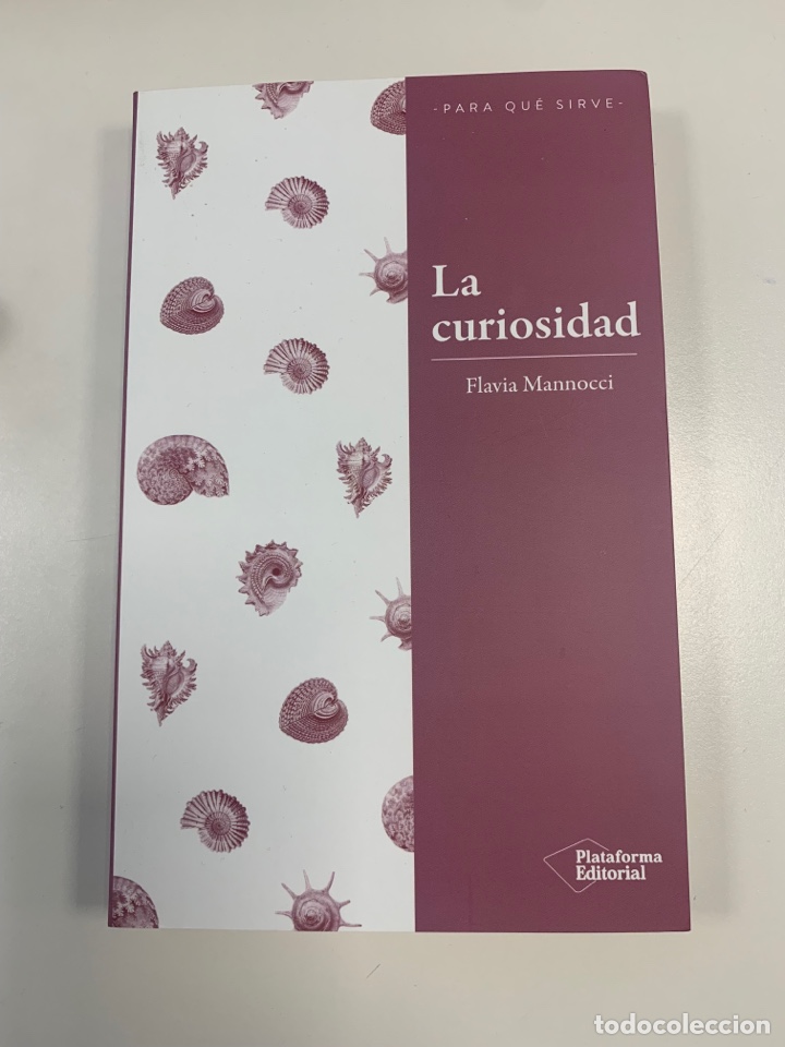 Libros: LA CURIOSIDAD de FLAVIA MANNOCI - Foto 1