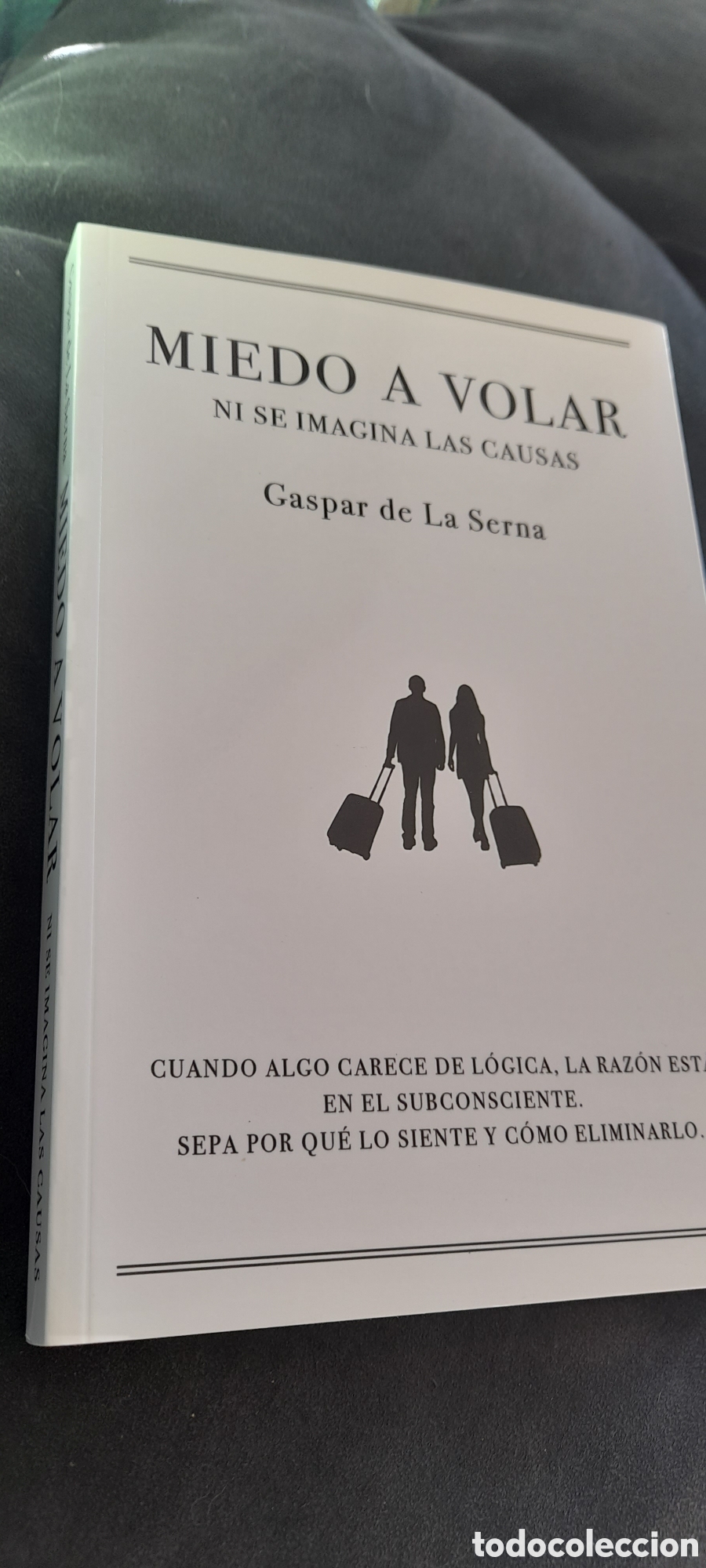 Libros: Miedo a volar. Gastar de la Serna - Foto 3