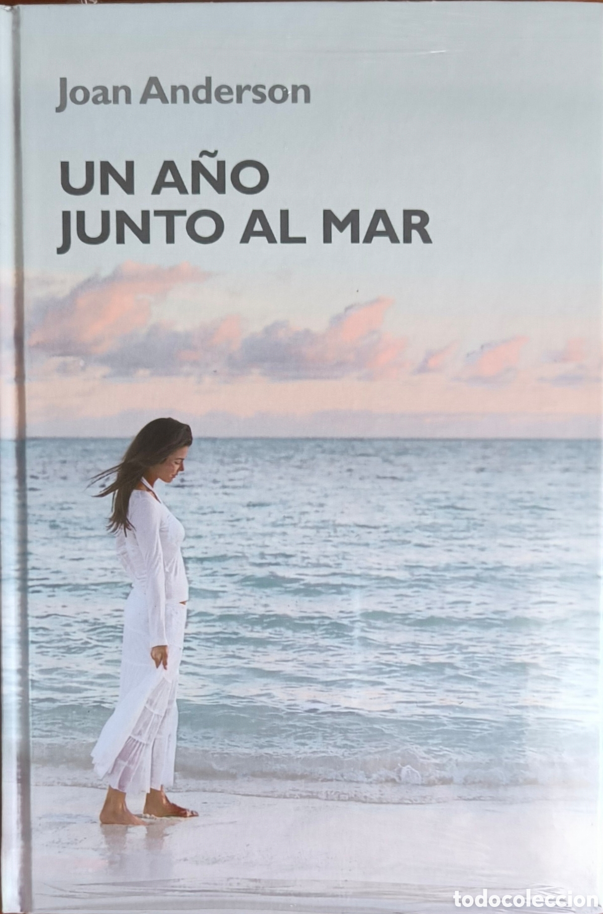 Libros: UN A&Ntilde;O JUNTO AL MAR. Joan Anderson. - Foto 1