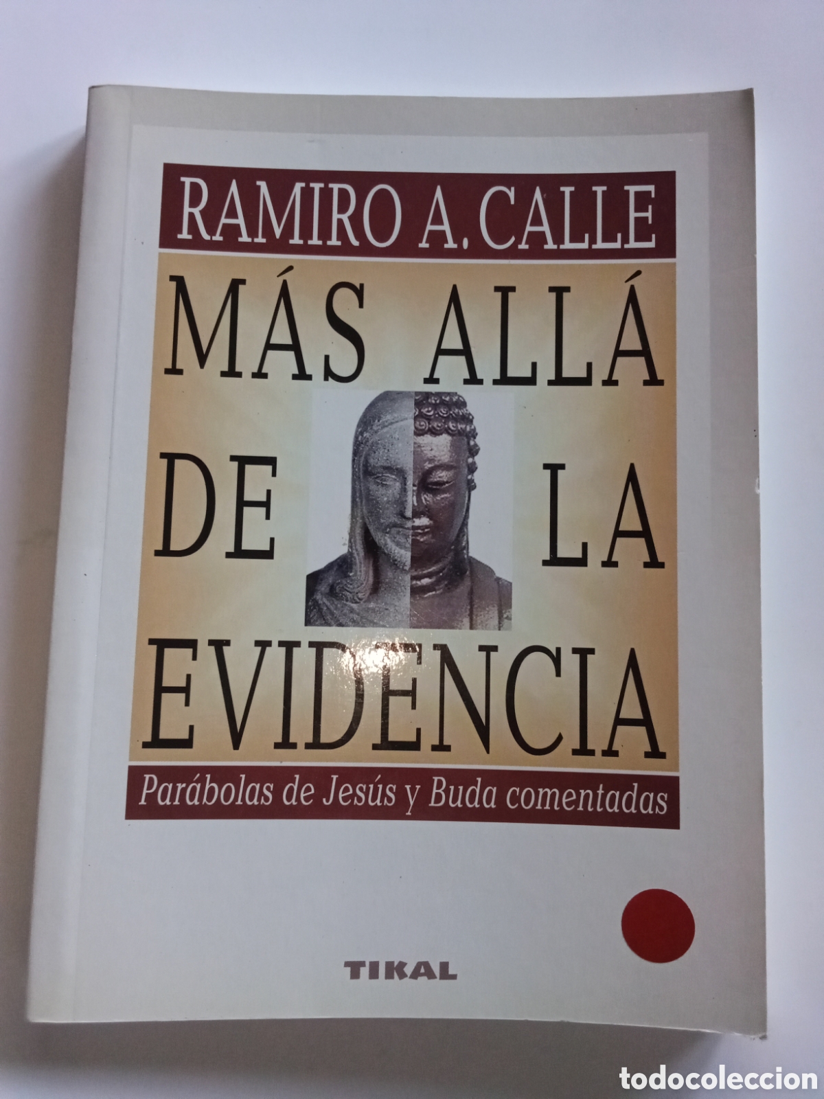 Libros: MAS ALLA DE LA EVIDENCIA - RAMIRO A. CALLE - Foto 1