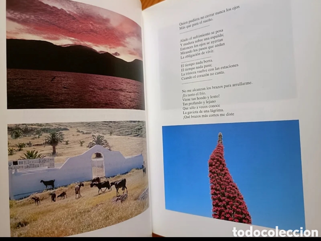Libros: Canarias, la cultura de la vida y la muerte. - Foto 7