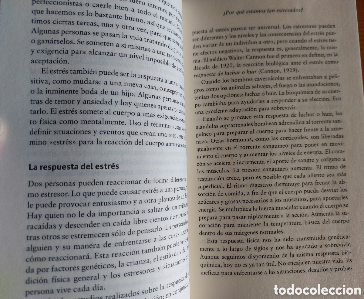Libros: &iexcl;No te quemes!, de Bob Losyk - Foto 5