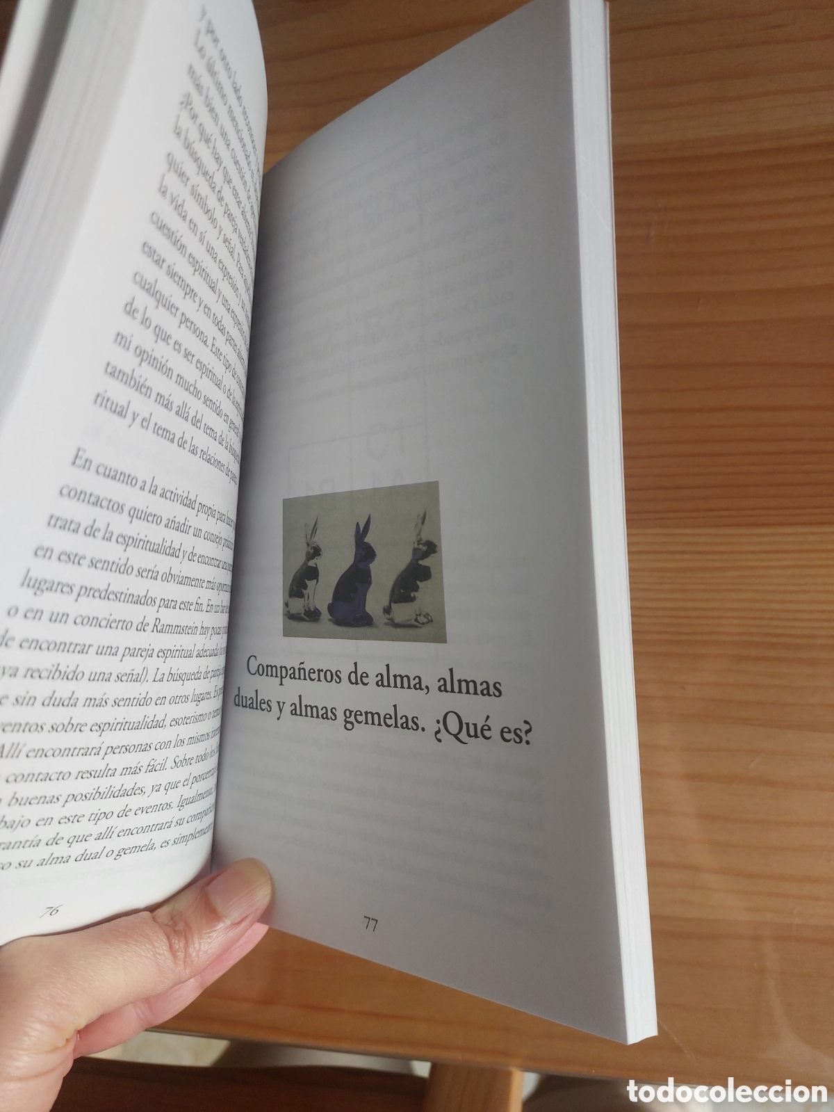 Libros: Compa&ntilde;eros en el camino - Foto 2
