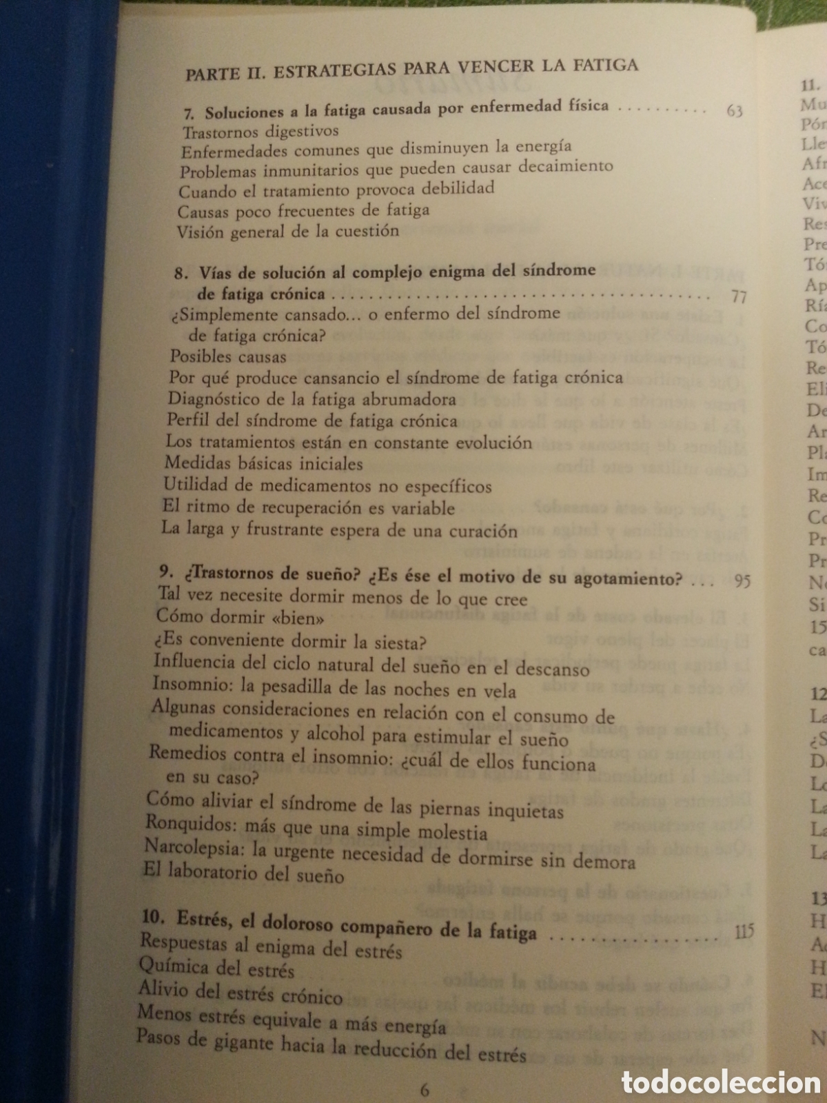 Libros: Vencer la Fatiga Cr&oacute;nica - Foto 3