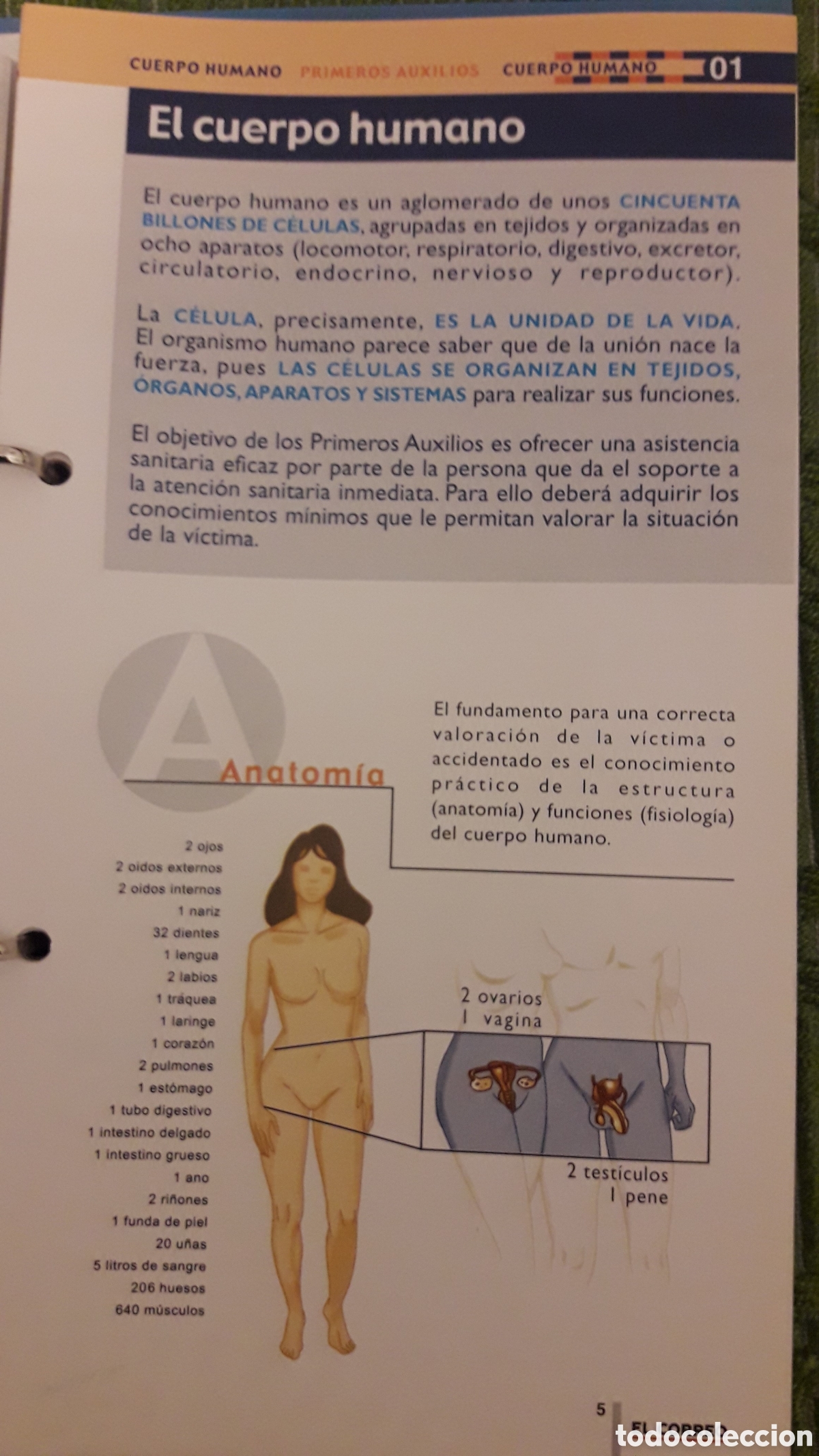 Libros: Manual de Primeros Auxilios - Foto 4