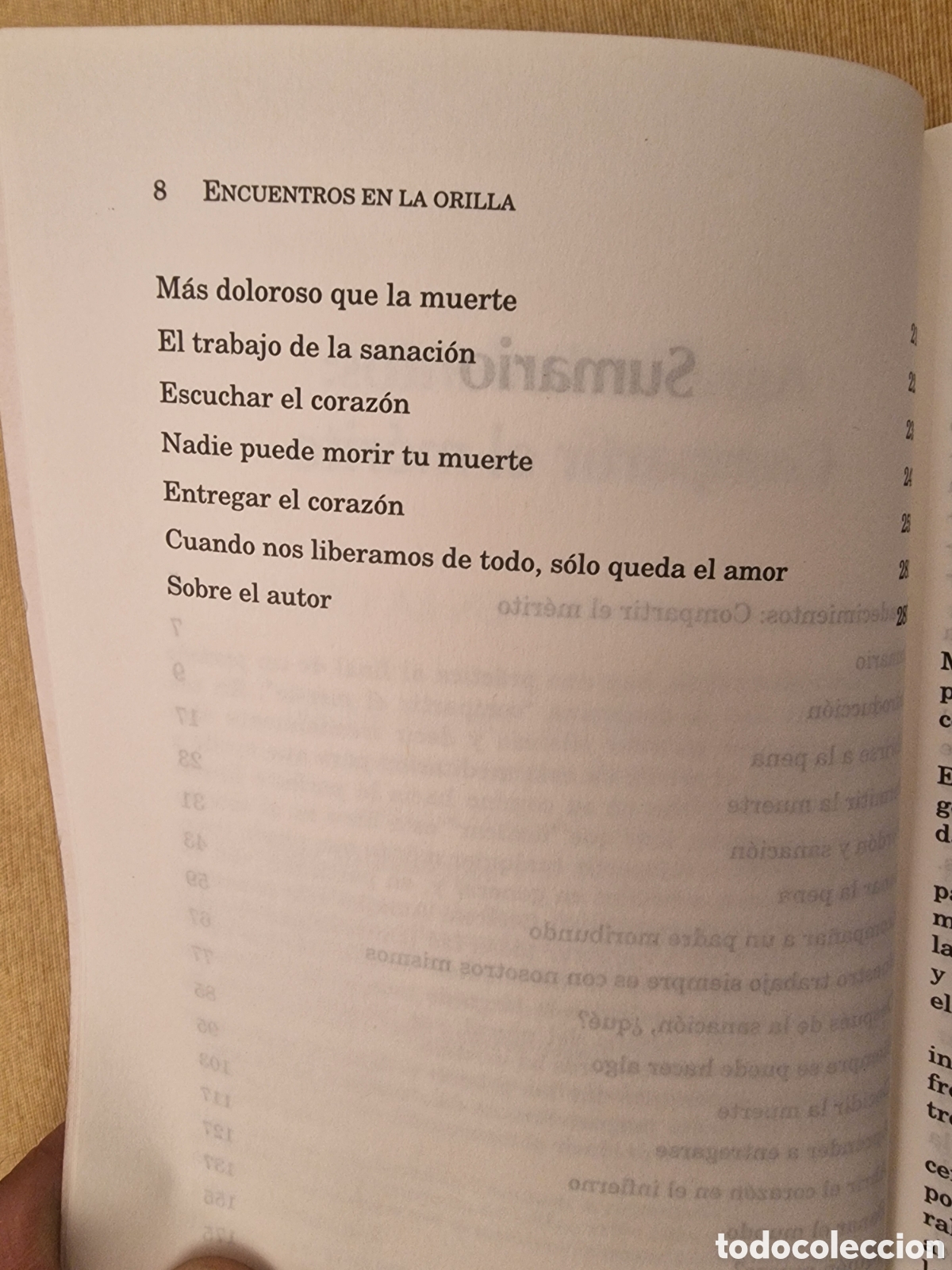 Libros: Encuentros en la orilla de Stephen Levin - Foto 4