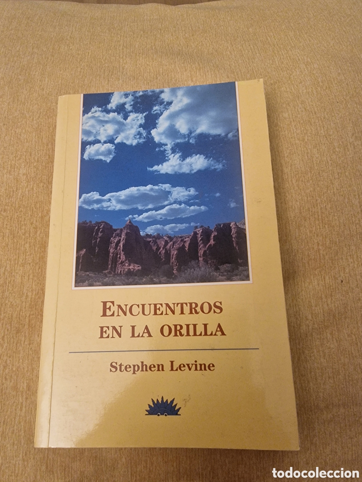 Libros: Encuentros en la orilla de Stephen Levin - Foto 1