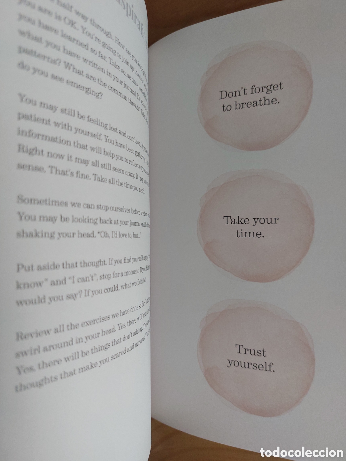 Libros: Pause. Danielle Marchant - Foto 4