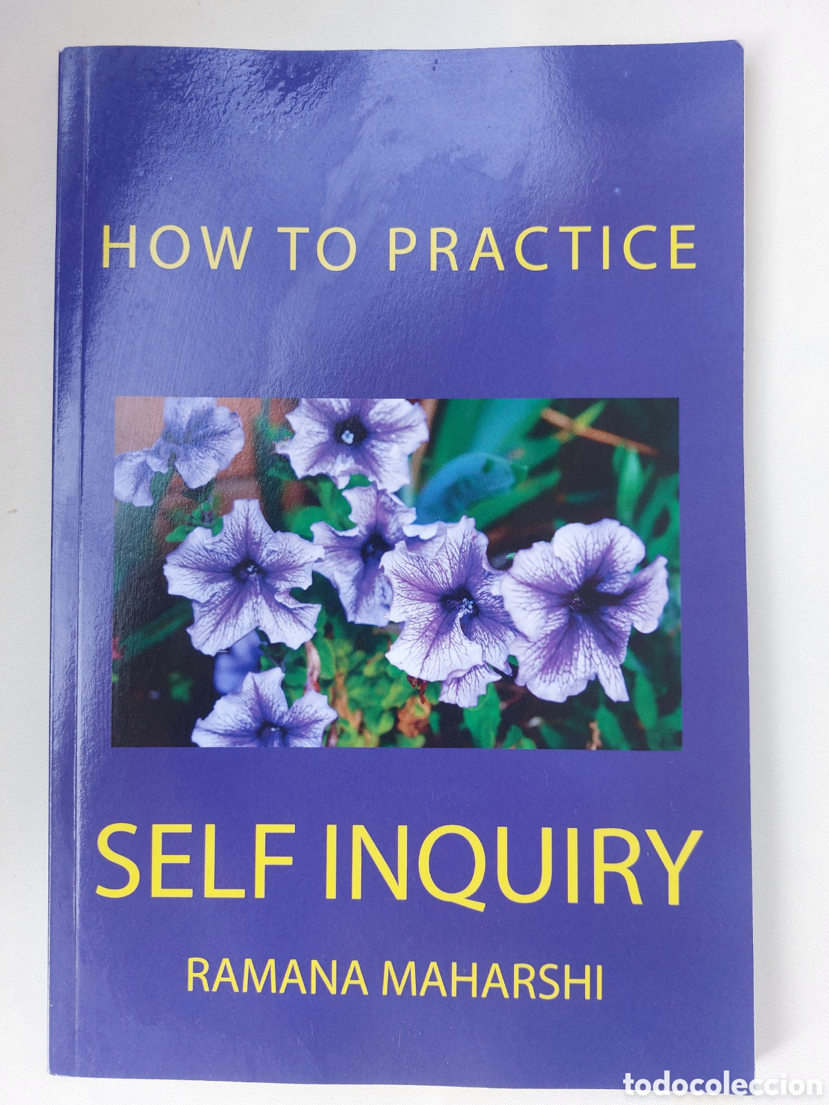 Libros: How to Practice Self Inquiry