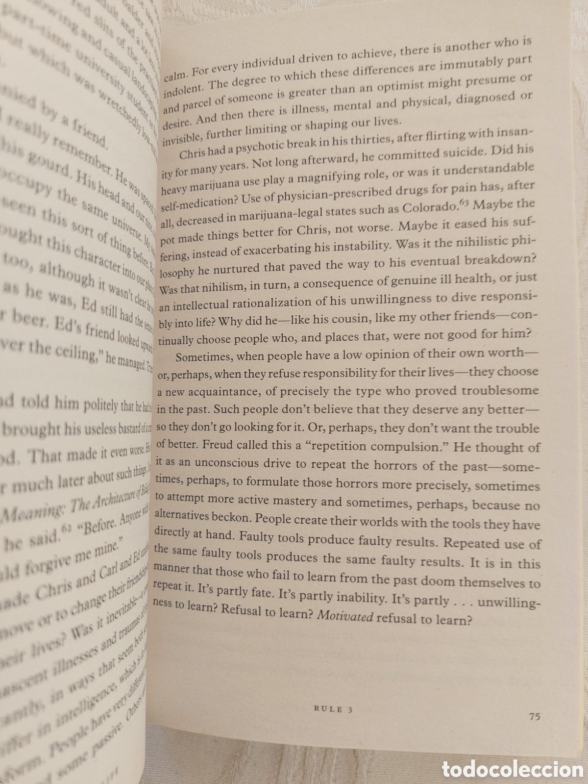 Libros: 12 Rules for Life. J. B. Peterson - Foto 2