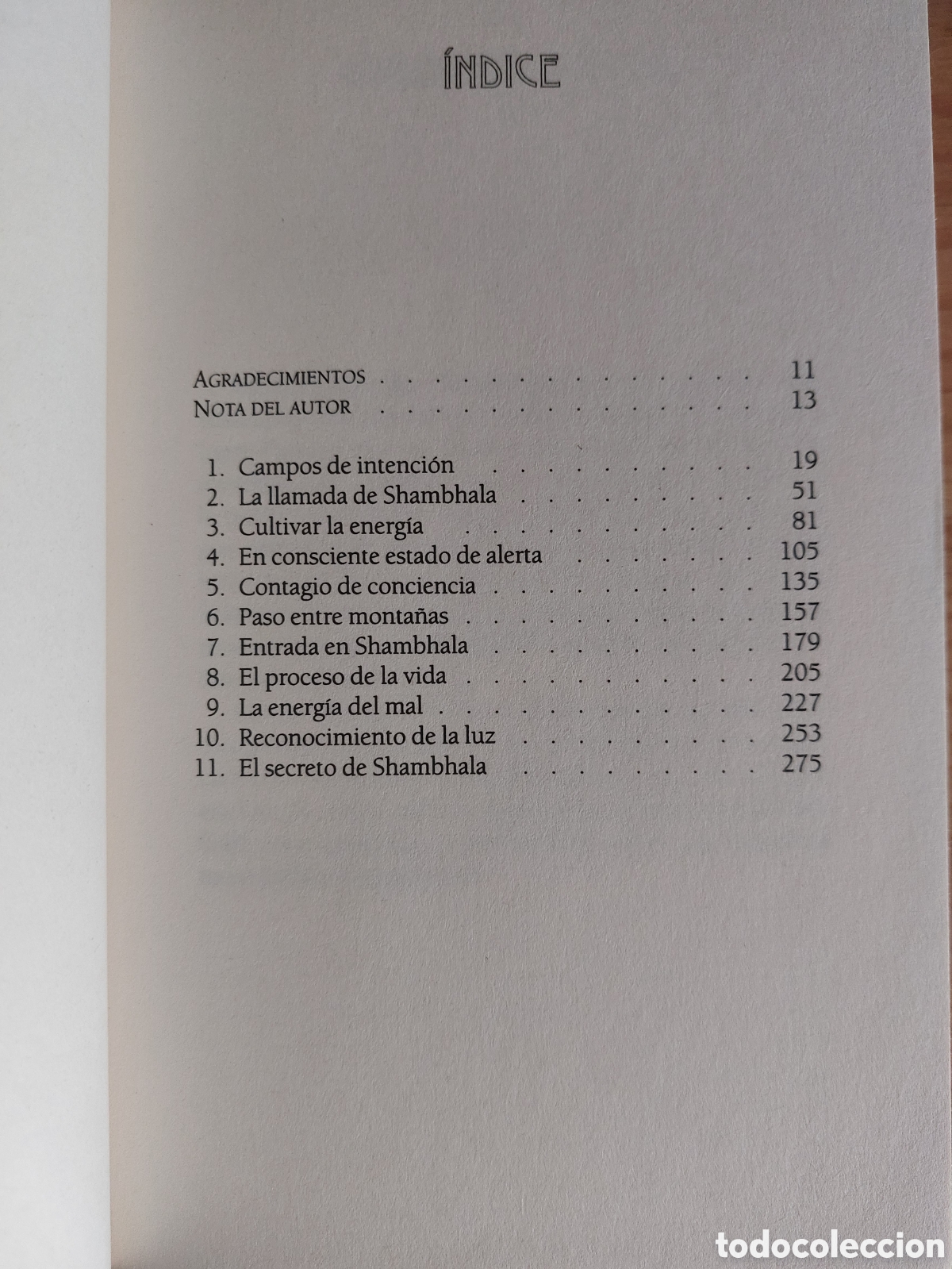 Libros: La und&eacute;cima revelaci&oacute;n - Foto 2