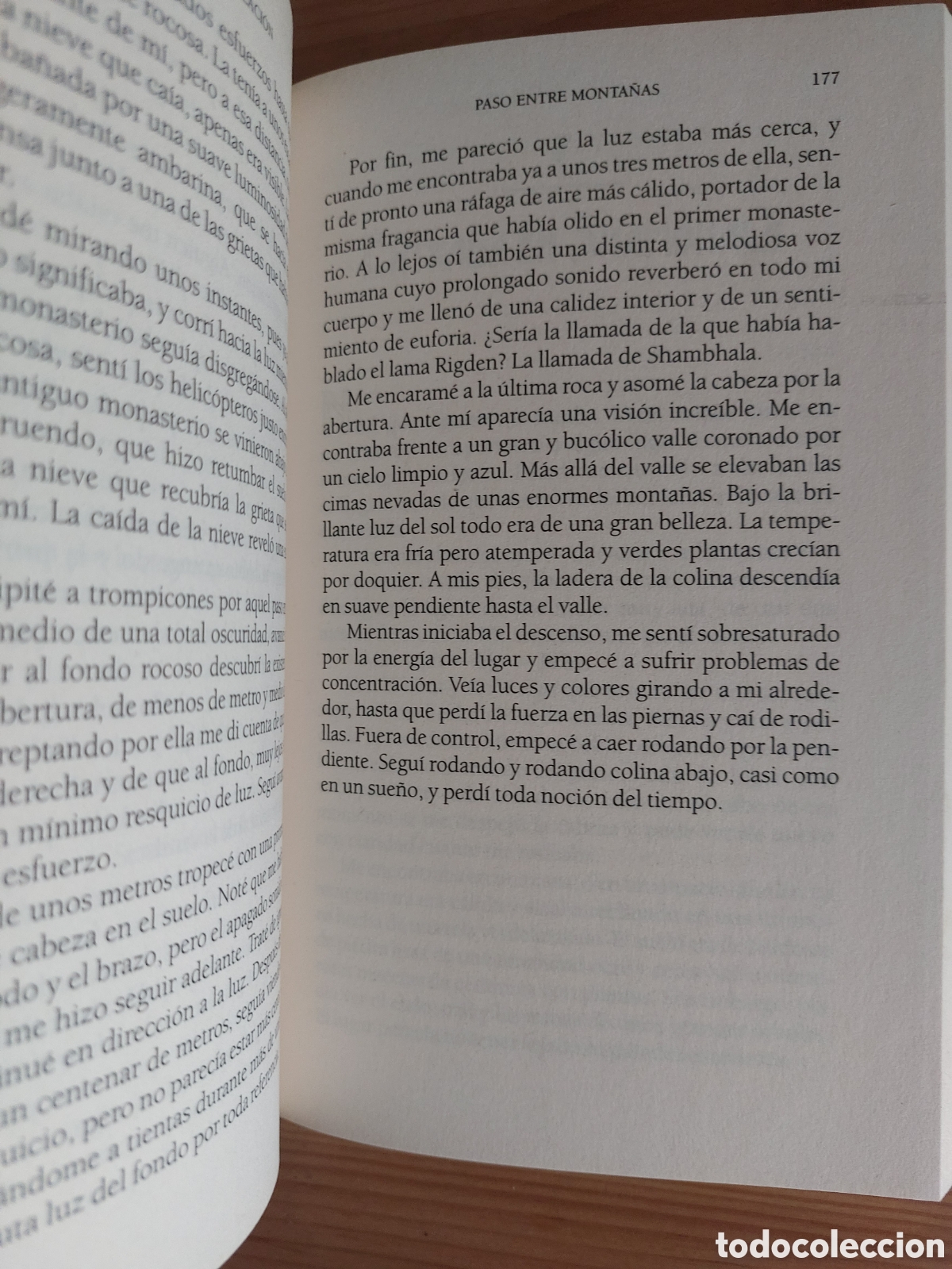 Libros: La und&eacute;cima revelaci&oacute;n - Foto 3