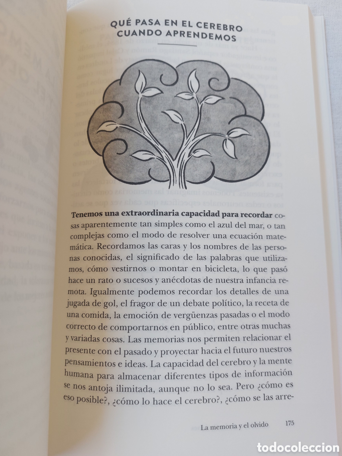 Libros: La f&aacute;brica de las ilusiones - Foto 5