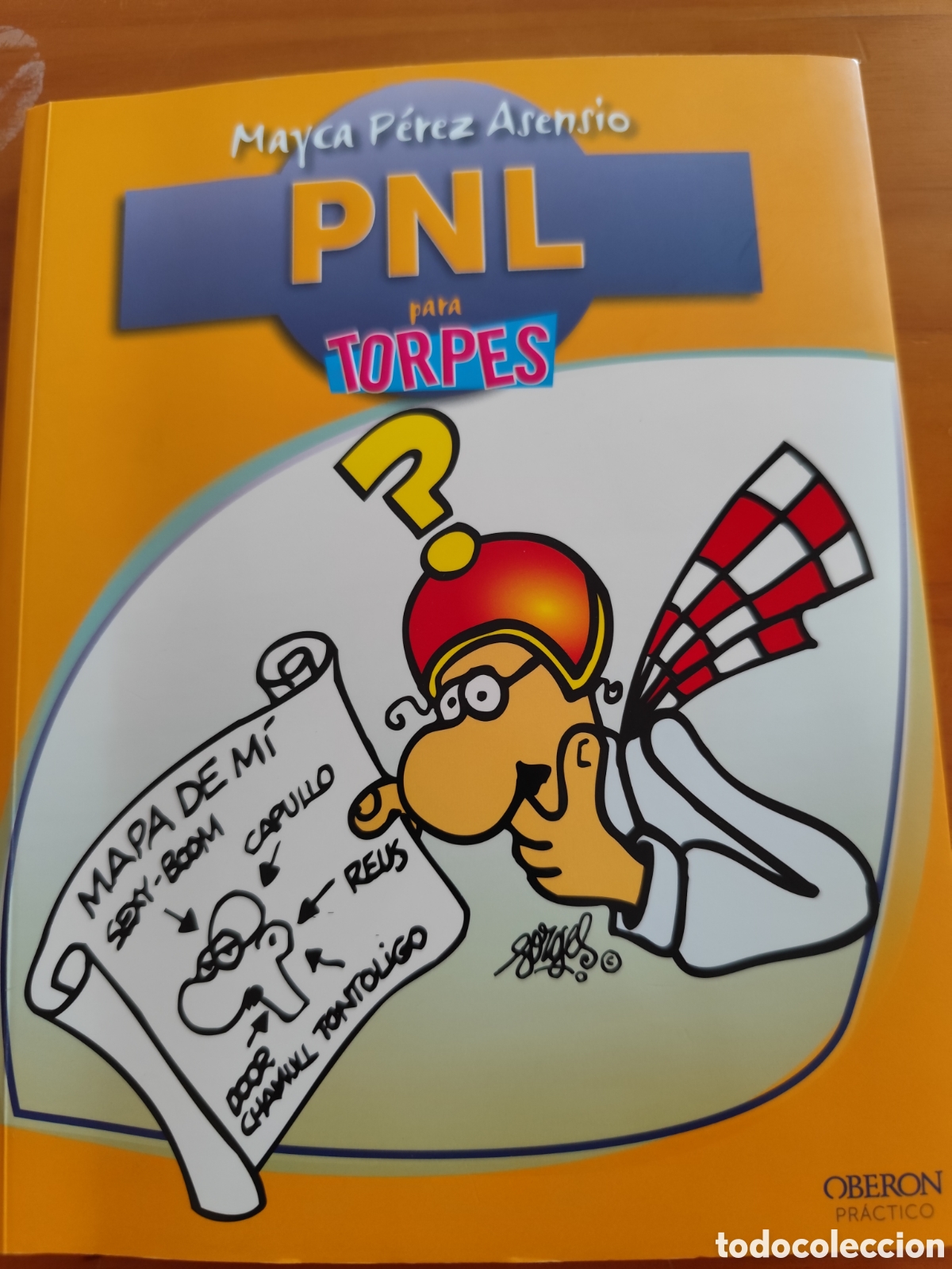 Libros: PNL para Torpes, por Mayca P&eacute;rez Asensio