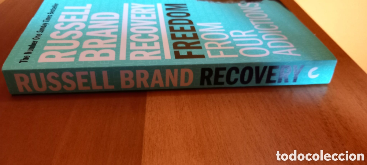 Libros: Recovery. Freedom from our addictions - Foto 5