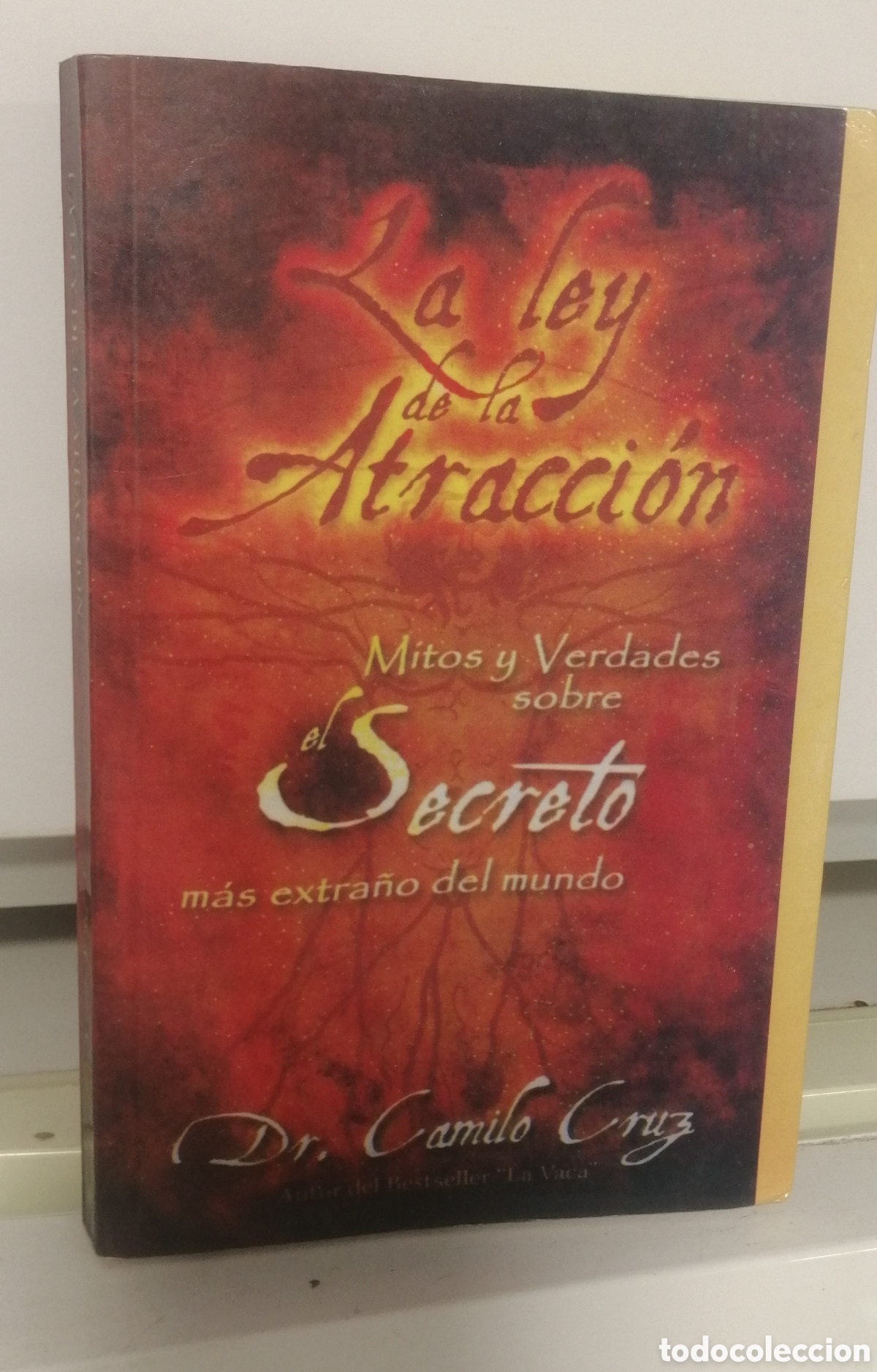 Libros: La ley de la Atracci&oacute;n: Mitos y Verdades sobre el Secreto m&aacute;s extra&ntilde;o del mundo Camilo Cruz