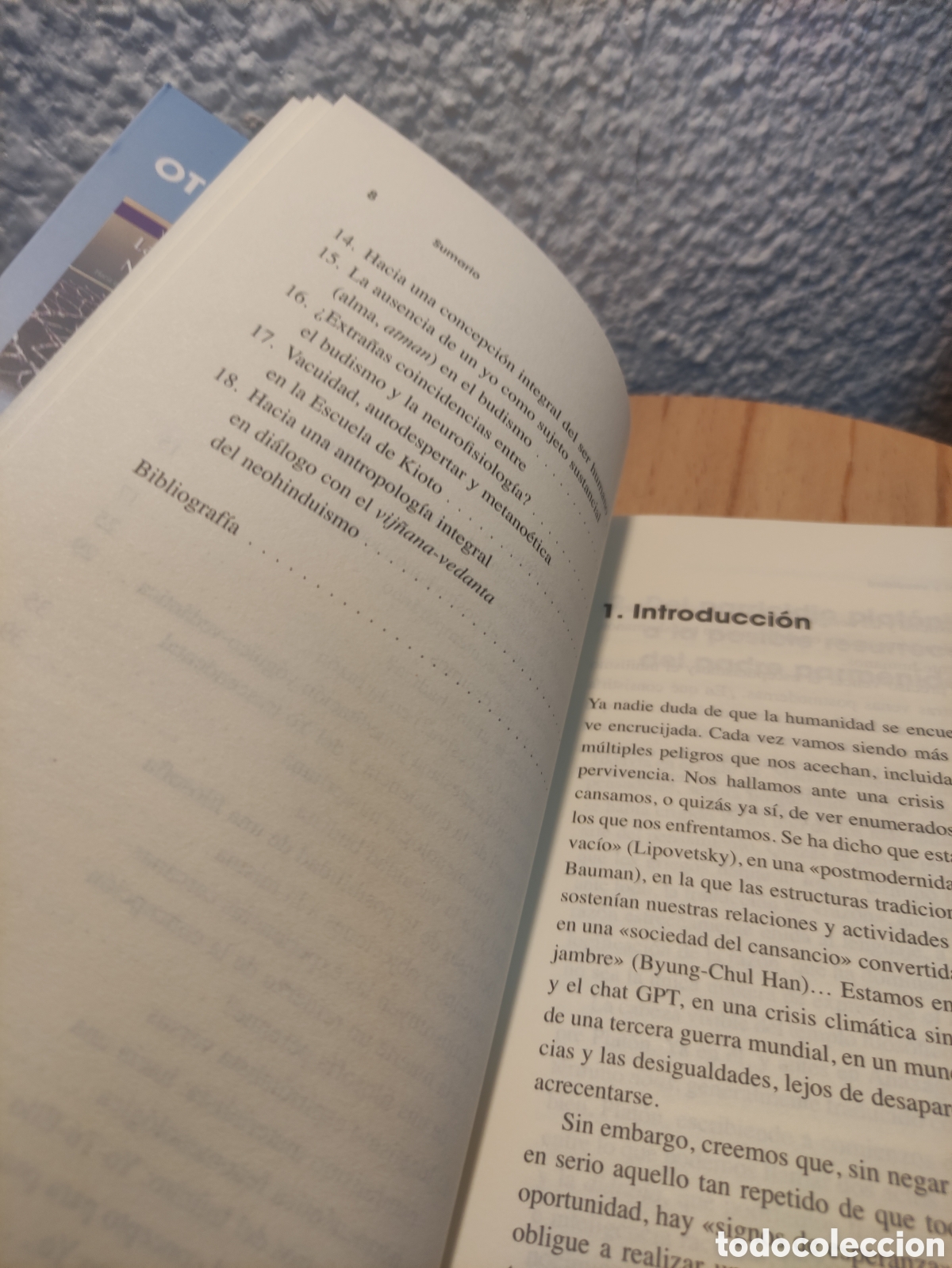 Libros: Plenitud y vacuidad Vicente Merlo - Foto 5