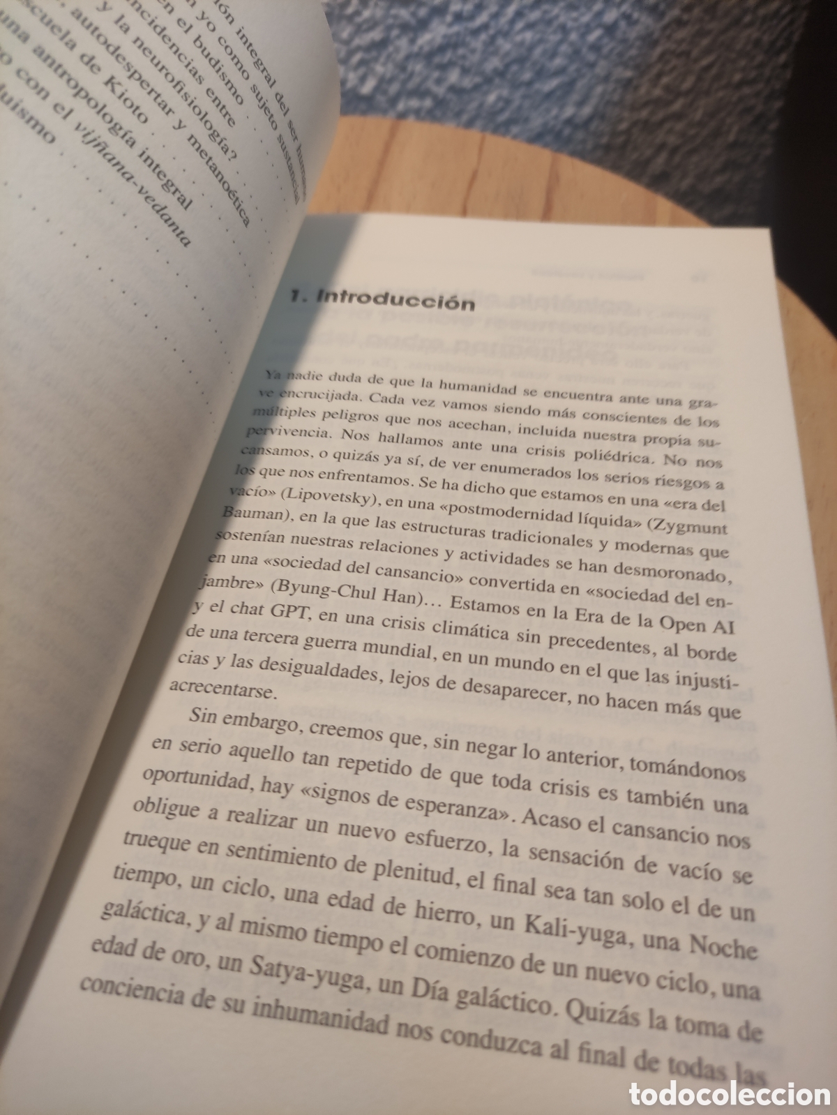 Libros: Plenitud y vacuidad Vicente Merlo - Foto 6