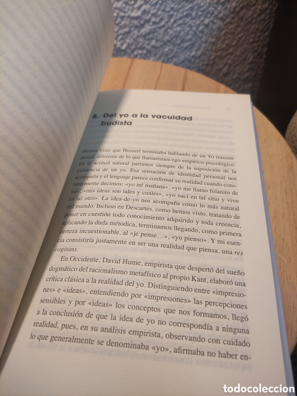Libros: Plenitud y vacuidad Vicente Merlo - Foto 7