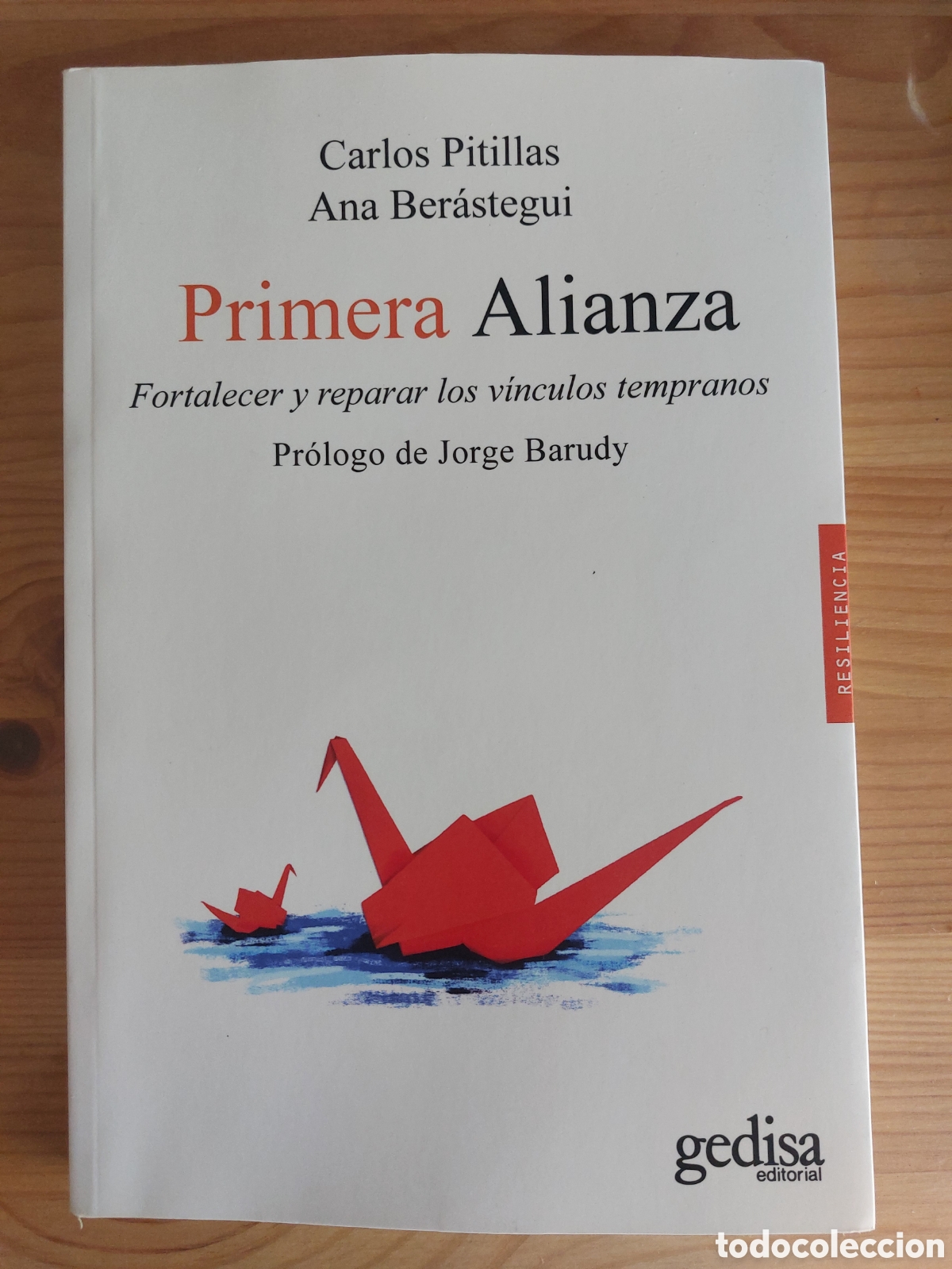 Libros: Primera alianza. Carlos Pitillas y Ana Ber&aacute;stegui