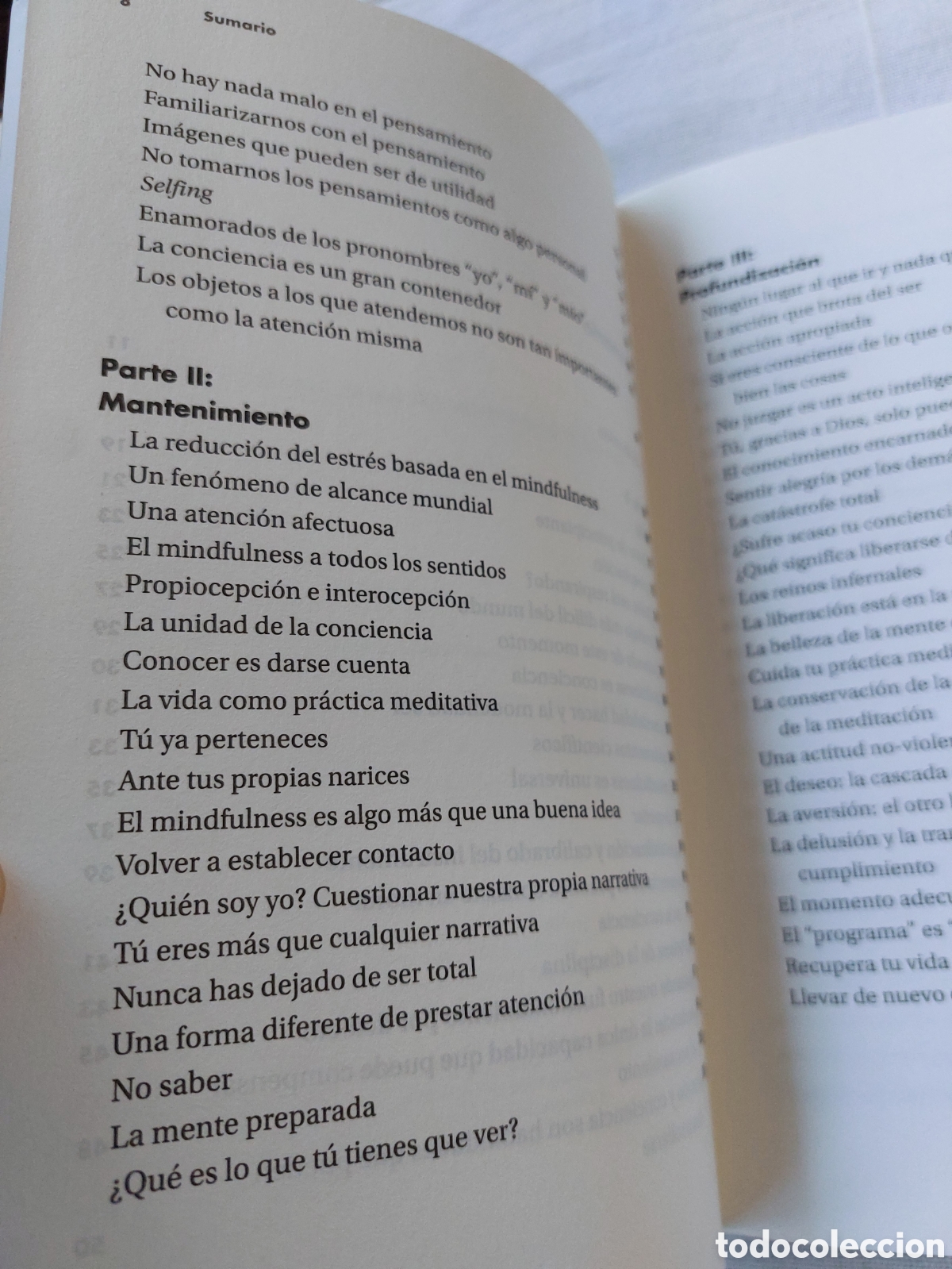 Libros: Mindfulness para principiantes - Foto 3