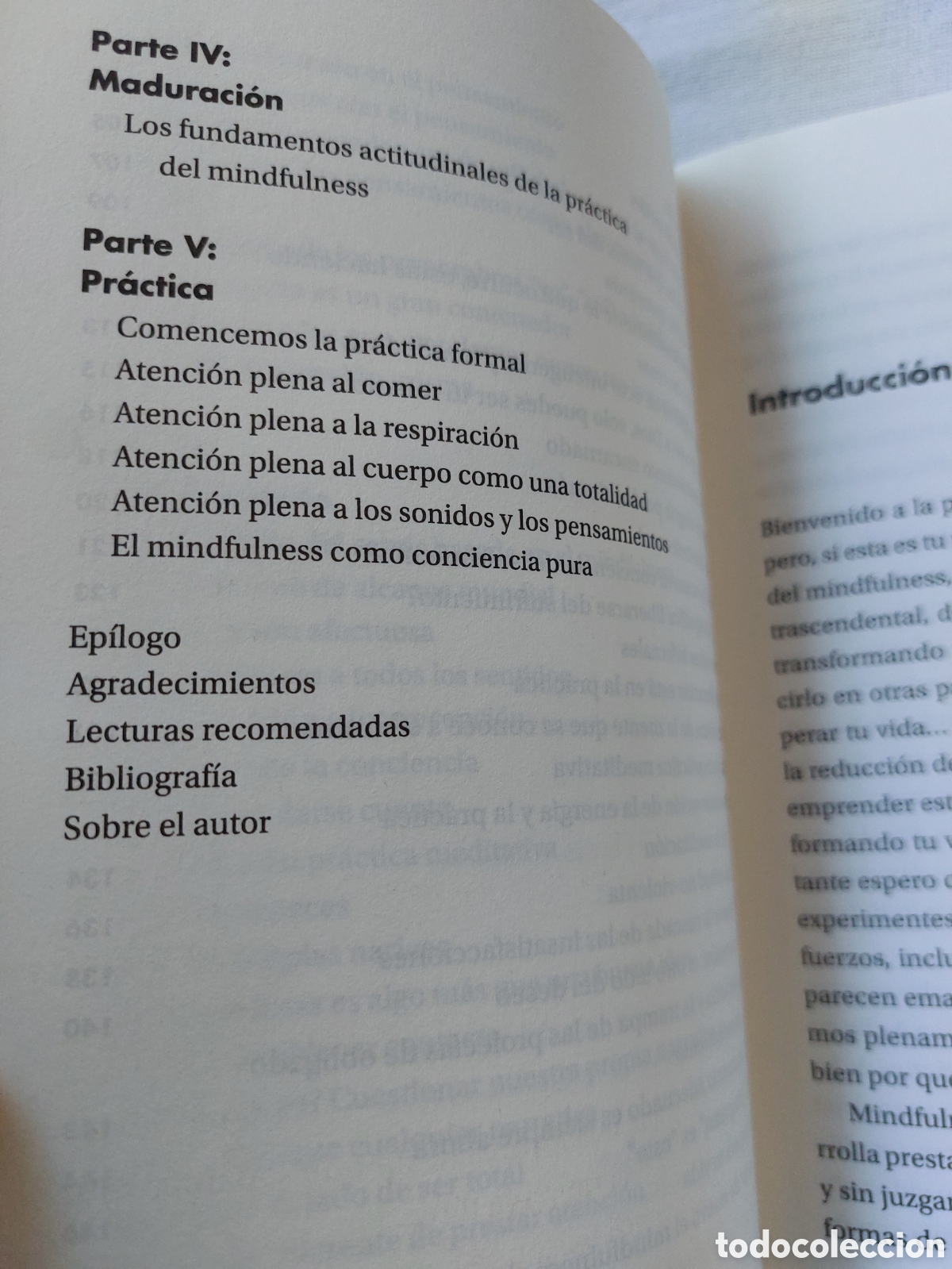 Libros: Mindfulness para principiantes - Foto 5