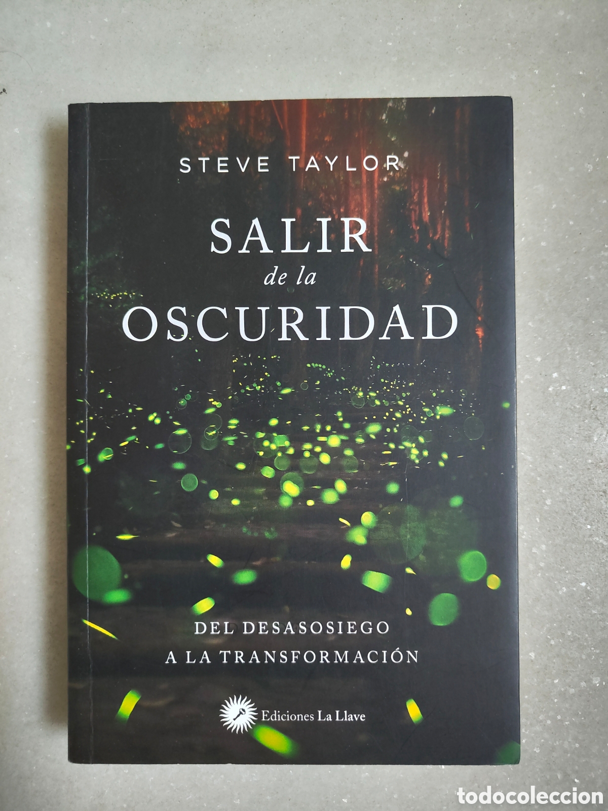 Libros: Salir de la oscuridad - Steve Taylor