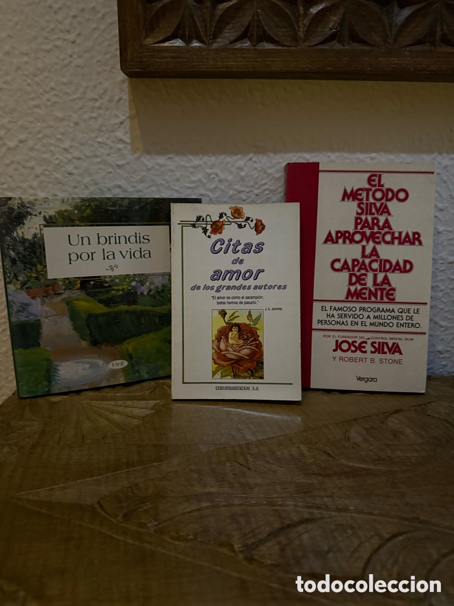 Libros: El M&eacute;todo Silva para aprovechar la capacidad de la mente (Jos&eacute; Silva y Robert B. Stone)